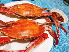 鲜活大螃蟹-北塘海鲜·天津菜(大光明桥旗舰店)