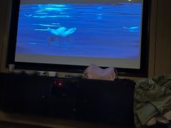 -金色印象·4K影院式足体养生(金沙店)