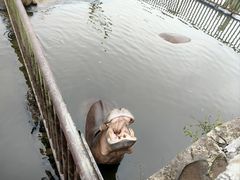 -海南热带野生动植物园