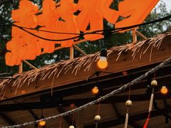 -龙岩森林水乡景区