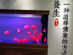 -金蚁康•经络调理•肩颈按摩(万达金街店)