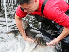 -解家河南菜(商鼎路店)