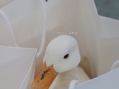 -HUGS coffee(东区店)