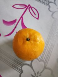 -东晨宝格丽品质造型