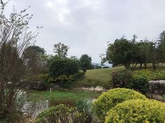 -铁山坪森林公园