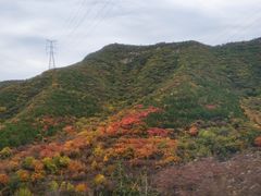 -白草畔自然风景区