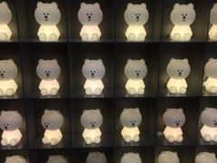 -line friends(明洞旗舰店)