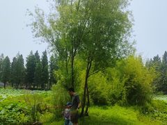 -居记万家福家常菜(车站南路店)