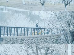 -国际非物质文化遗产博览园