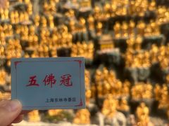 -上海东林寺(金山区)