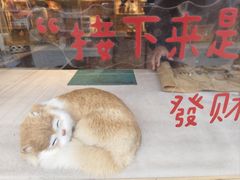 -辛庄国际文化艺术区