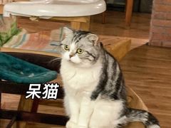 -月迷津渡(吾悦国际店)