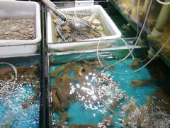 -九层海鲜塔(市南店)