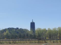 -永定河休闲森林公园