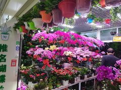 -三旗百汇商品城