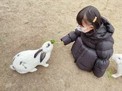-洪湖家庭农场·团建·露营·会议