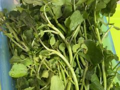 -15年老字号鑫鑫猪肚鸡·椰子鸡海南火锅(兴隆华侨农场店)