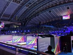 -华中科技大学光谷体育馆