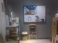 -御宝贝·A梦猫科宠物医院(国际猫友好医院)