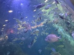 -三亚海棠湾喜来登度假酒店