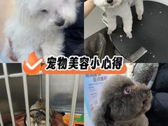-瑞鹏宠物医院•异宠•宠保定点•流浪定点救助宠物医院(青祁店)