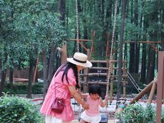 -东湖落雁景区