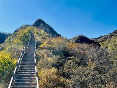 -大岭沟猕猴桃谷风景区