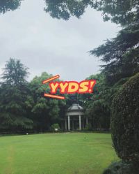 -花园饭店·宴会厅