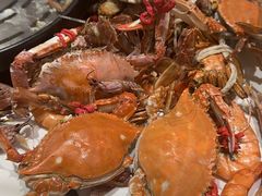 -半岛听涛蒸汽海鲜自助(K11店)