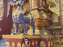 -西双版纳勐泐文化旅游区