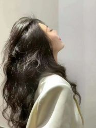 -YESIDO椰岛造型