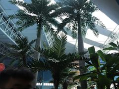 -青岛东方影都融创水世界