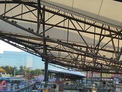 -移动谜城·大笨象密室逃脱(五棵松店)