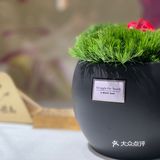 这家江浙菜太好吃了