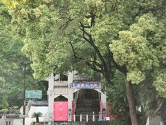 -九华山公园