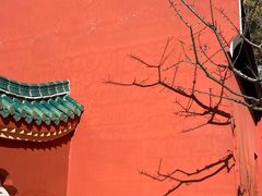 -南岳衡山风景名胜区-南岳大庙