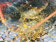 -马王堆海鲜水产市场