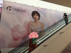 -美丽田园