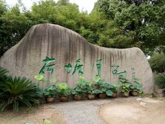 -荷塘月色湿地公园·向阳花洲