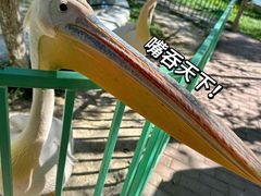 -水上乐园·欢乐世界