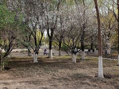 -丰台科技园生态主题公园
