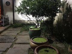 -院子餐厅·大锅菜·老杭帮(桥西直街店)