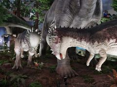 -湖南省地质博物馆