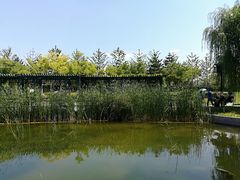 -西海子公园