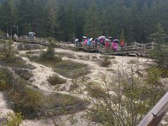 -黄龙山原始森林景区