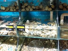 水产区-蟹谢蒸鲜自助餐厅