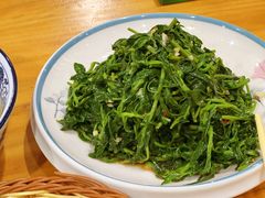 枸杞苗-三益轩(总店)