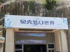 -贝壳梦幻世界