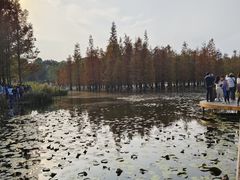 -白鹭湾湿地公园