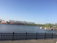 -上海长兴岛郊野公园